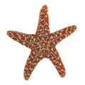 SALE 6-7" Large Sugar Starfish