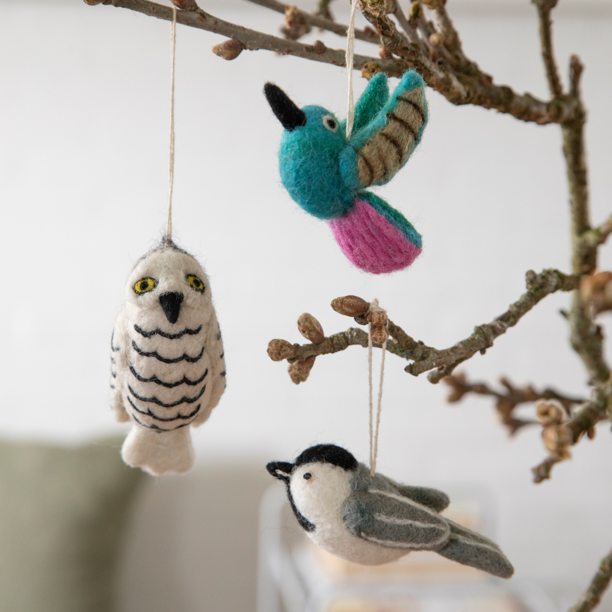 Bird - Hummingbird